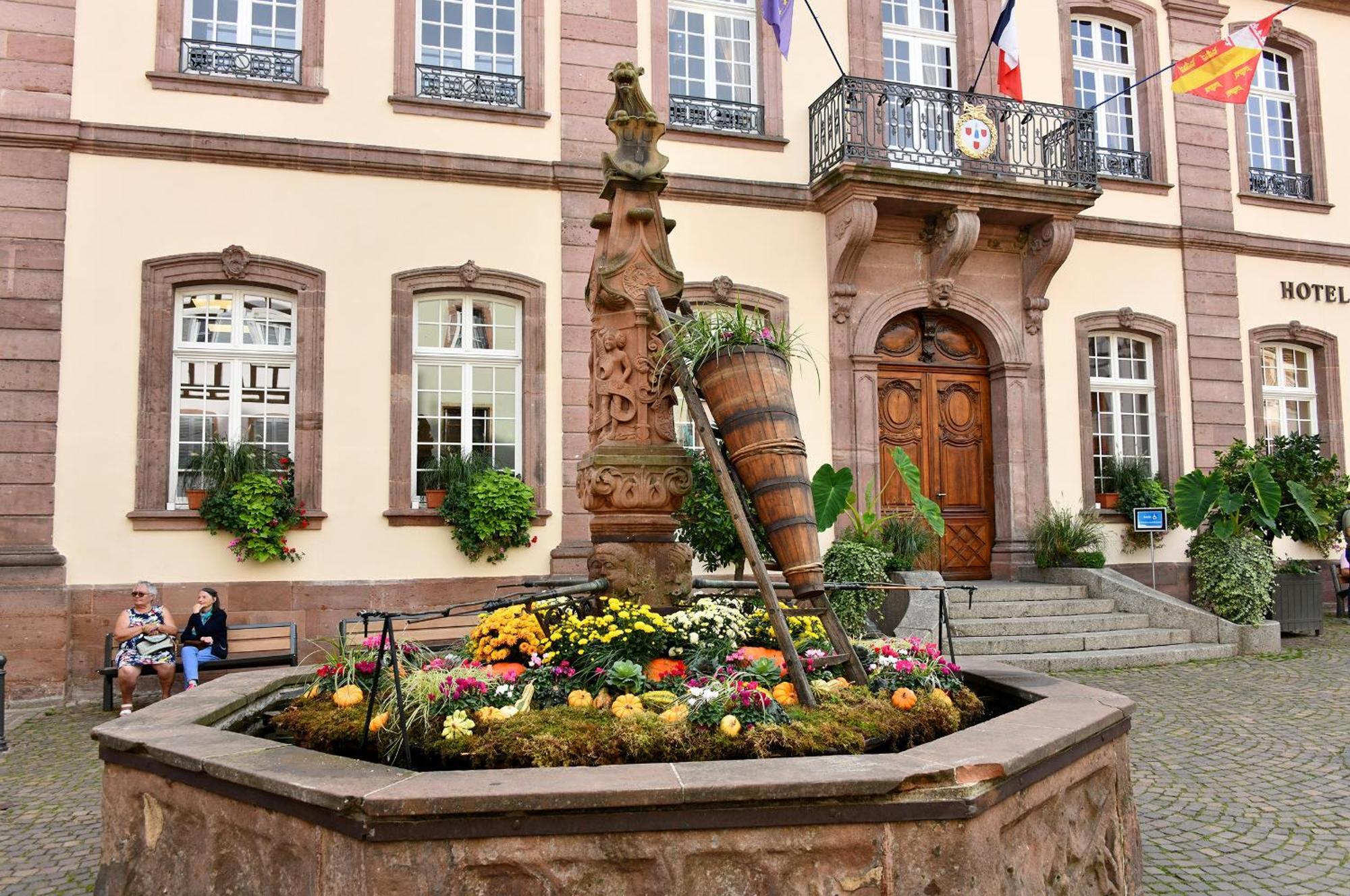 Au Nid D'Hirondelles Apartment Ribeauville  Exterior photo
